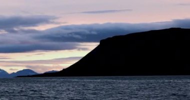 Yazın Svalbard 'ın Vahşi Sahili, Sert Kutup Bölgesi