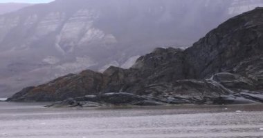 Yazın Svalbard 'ın Vahşi Sahili, Sert Kutup Bölgesi