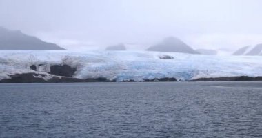 Kuzey Kutbu 'ndaki Nordenskiold Buzulu, Svalbard' ın Doğası