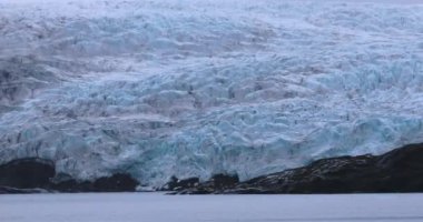 Kuzey Kutbu 'ndaki Nordenskiold Buzulu, Svalbard' ın Doğası