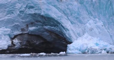 Kuzey Kutbu 'ndaki Nordenskiold Buzulu, Svalbard' ın Doğası