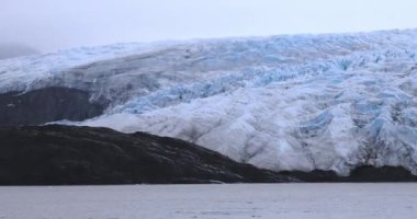 Kuzey Kutbu 'ndaki Nordenskiold Buzulu, Svalbard' ın Doğası