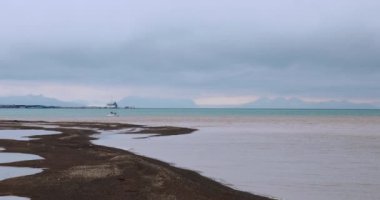 Longyear, Arctic, Svalbard 'ın Vahşi Arazisi