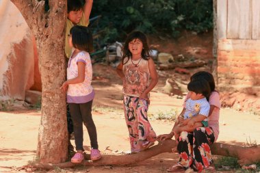 Asuncion, Paraguay - 21 Ağustos 2023: Bir grup çocuk Paraguay 'ın kırsal kesimlerinde bir ağacın etrafında neşeli aktivitelere girişiyor, canlı enerjilerini ve yakın dostluklarını sergiliyorlar.