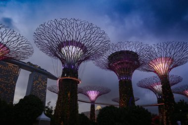 Koyun kenarındaki Gardens 'ta, alacakaranlık gökyüzünde, yemyeşil ve fütüristik mimariyle çevrili renkli süperağaçlar parlıyor..