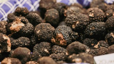 İtalya 'daki Alba Truffle Festivali' nde, ziyaretçiler taze toplanmış trüf mantarlarıyla dolu canlı bir pazarı keşfediyorlar. Etkinlikte eşsiz mutfak deneyimleri sergileniyor ve yerel gastronomi kutlanıyor.