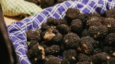 Ziyaretçiler, İtalya 'da düzenlenen Alba Truffle Festivali sırasında toplanan taze mantarlarla dolu canlı bir pazarı keşfediyorlar. Etkinlikte yerel üretim ve mutfak lezzetleri yer mantarlarını ön plana çıkarıyor.