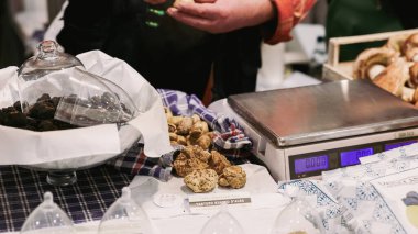 Alba, İtalya - 27 Ekim 2024: İtalya 'daki Alba Truffle Festivali' nde katılımcılar çeşitli trüf mantarlarının tadına baktılar ve canlı atmosferin tadını çıkardılar..