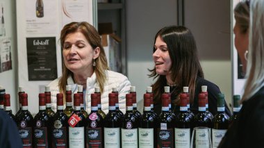 Alba, İtalya - 27 Ekim 2024: Alba Truffle Festivali 'nde katılımcılar şarap tatma, yerel çeşitlerin tadını çıkarma ve hevesli satıcılarla lezzet tartışmaları yapıyorlar..