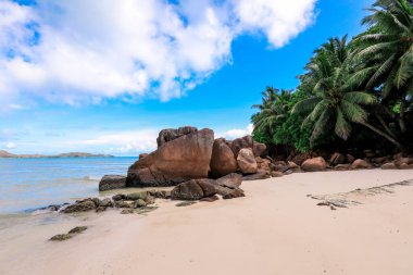 Praslin Adası 'ndaki sakin kumlu bir plajda parlak mavi gökyüzü altında gür palmiye ağaçları ve çarpan kaya oluşumları bulunur..
