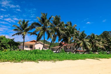 Sahil evlerinin kumlu sahil ve mavi gökyüzüne baktığı Seyşeller 'de palmiye ağaçları usulca sallanıyor..