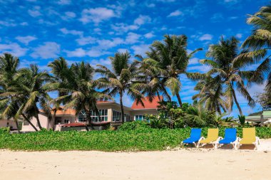 Seyşeller 'deki plajda canlı şezlonglar, gür palmiye ağaçları ve parlak mavi bir gökyüzü var.