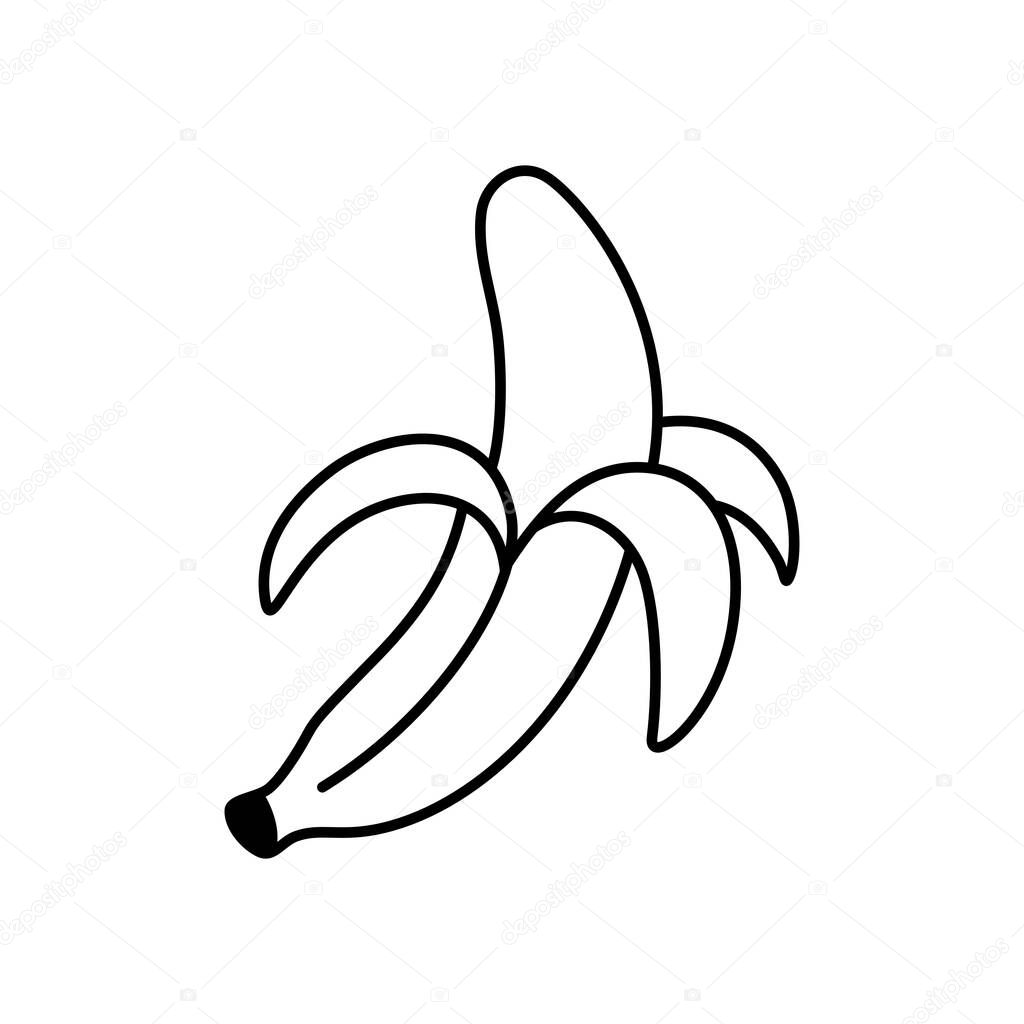 Banana with partially peeled skin, illustrated as a tropical fruit vector