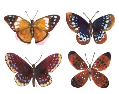 Beyaz arka planda suluboya kelebek. El çizimi, renkli, izole edilmiş çizimler.