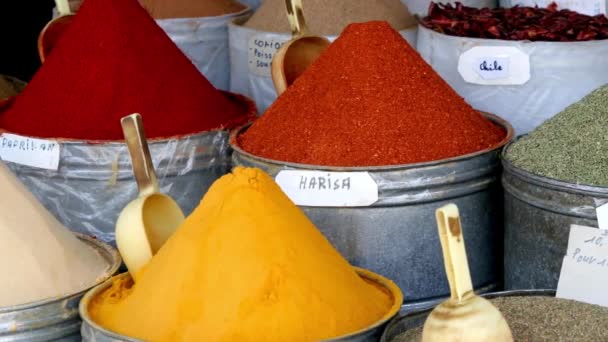 Harisa Other Moroccan Spices High Quality — Stock Video