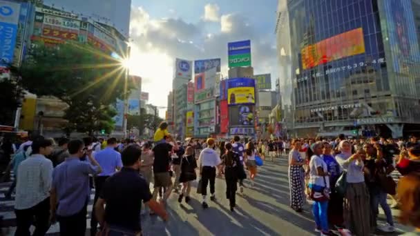 Shibuya Tokyo Karşıdan Karşıya Geçiyor — Stok video