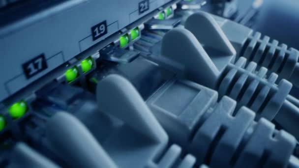 Macro Shot Ethernet Adatkábelek Villogó Fényű Router Portokhoz Csatlakoztatva Telecommunications — Stock videók