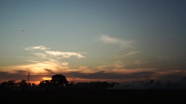 Tarım Alanında Gün Batımı Ağaçların Arkasında Güneşin Batışı Manzaralı — Stok video