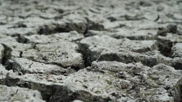 耕作された土地の土壌は 長い乾燥した季節のために乾燥し 表面には亀裂や穴がたくさんあります — ストック動画