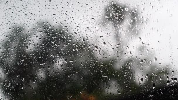 雨は濡れてウィンドウガラスの表面に固執する — ストック動画