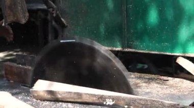 Bir marangoz tarafından yürütülen dairesel testere bıçağını kullanarak kütükleri ayırmak.