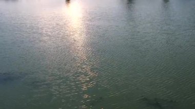 Gölün yüzeyindeki güneş ışığı ufukta batarken hafifçe dalgalanıyor.