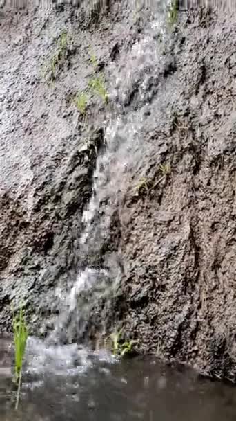 Uma Pequena Cachoeira Aterro Campo Arroz Que Flui Rápido Tem — Vídeo de Stock