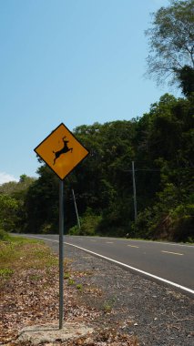 Korunaklı bir orman bölgesinde otoyolun kenarında bir geyik resmi olan trafik levhası.