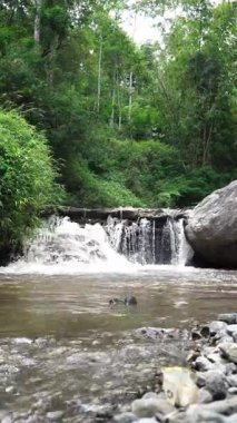 Sakin bir bambu ormanı, katmanlı kayaların üzerinde çağlayan bir şelale ile sığ bir nehri çevrelemektedir. Su çakıl taşlarının üzerinden akarken küçük dalgalar ve hafif dalgalar oluşur. Bileşimi yeşil bambu ve gri kayaların toprak tonlarını dengeler..