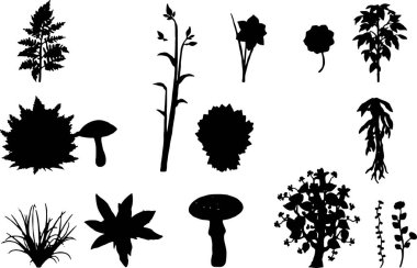 Plant and mushrooms silhouette 