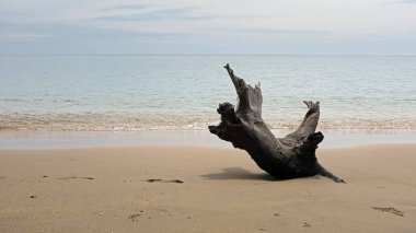 Vietnam, Asya 'daki Phu Quoc adasında plaj