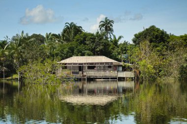 Amazon Nehri 'ndeki ev