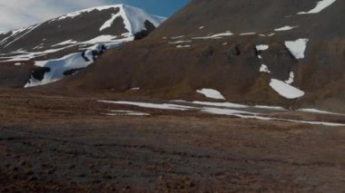 Svalbard (Spitsbergen) - Buzulun yakınında koşan ren geyikleri. Güneşli, güzel hava, arkada karlı dağlar..