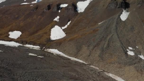 Чудовий Вид Шпіцберген Spitsbergen Троє Оленів Перетинають Сніг — стокове відео
