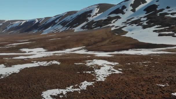 Dia Ensolarado Svalbard Spitsbergen Renas Comendo Grama Drone Vista Para — Vídeo de Stock