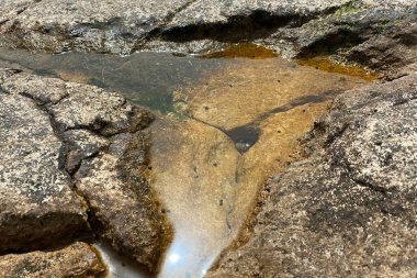 Kayalık deniz kıyısının alışılmadık dokusu