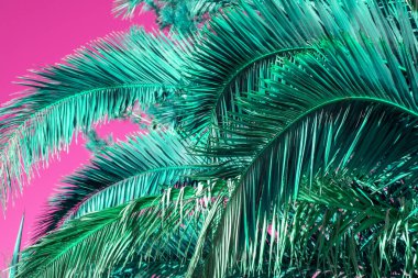 Gökyüzünde renkli palmiye yaprakları, sulu tropikal arkaplan
