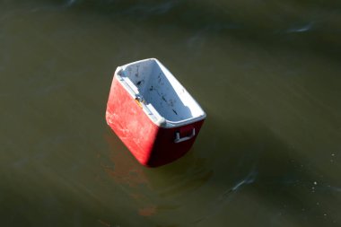 Okyanus plastik kirliliği, gezegenin kirlenmesine ve ekolojik bir felakete neden olan baskıcı bir çevre sorunudur. Bu küresel sorun ABD 'nin New York şehrindeki Manhattan gibi kentsel alanları da etkiliyor..
