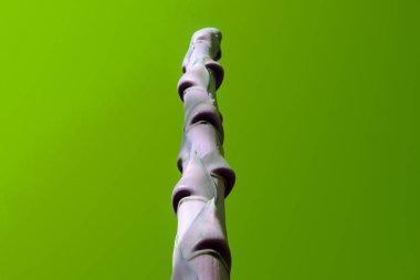 Renkli arka planda düşmüş yaprakları olan tropik ağaç gövdesi.