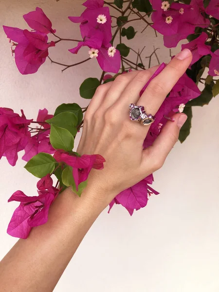 女性の手は明るいピンクの花で咲く緑の枝に届きます — ストック写真