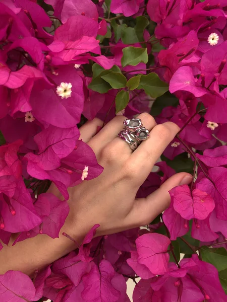 A woman\'s hand reaches out to a green branch blooming with bright pink flowers