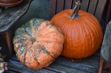 Merdivenlerde balkabakları, Cadılar Bayramı süslemeleri, sonbahar arka planı, renkli sonbahar sebzeleri.