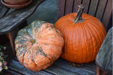 Merdivenlerde balkabakları, Cadılar Bayramı süslemeleri, sonbahar arka planı, renkli sonbahar sebzeleri.