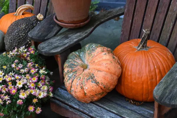 Pumpkins on the steps, Halloween porch decorations, autumn background, colorful fall vegetables