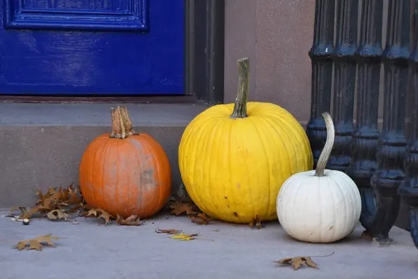 Pumpkins on the steps, Halloween porch decorations, autumn background, colorful fall vegetables