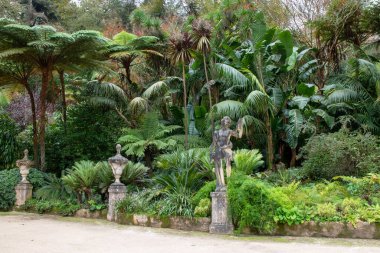 Botanik bahçesinde eğreltiotları ve heykelleri olan tropik bir bahçe.