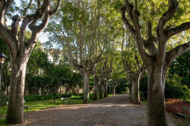 Palermo, Sicilya, İtalya 'ya park et..