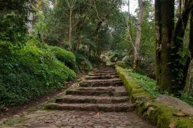 Ormanda taş merdivenler, Phetchabun, Tayland