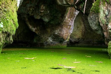 Mağaranın ortasında yeşil yosun olan bir mağara. Tayland