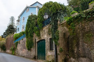 Portekiz, Porto 'da duvarında yeşil sarmaşık olan eski bir ev.